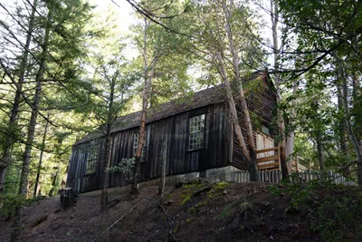 DSC_0920 (Large).JPG